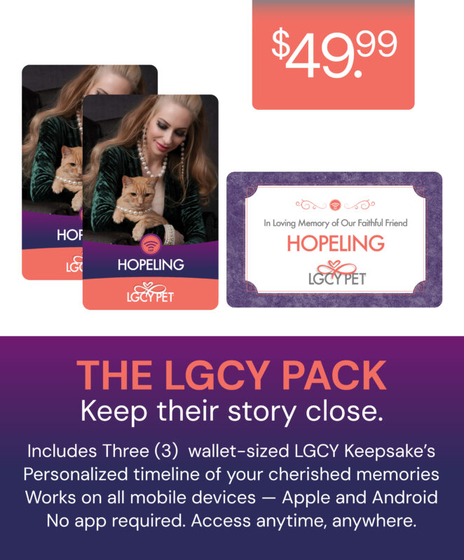 home page pricing graphic