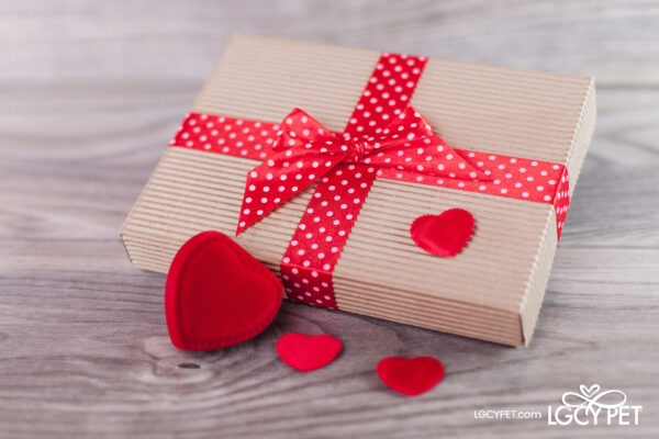 blog post image of gift